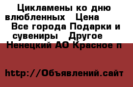 Цикламены ко дню влюбленных › Цена ­ 180 - Все города Подарки и сувениры » Другое   . Ненецкий АО,Красное п.